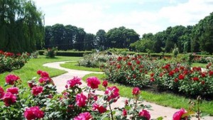 Botanical  garden