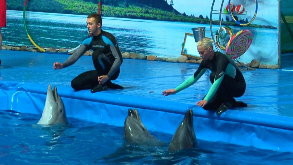 Almaty Dolphinarium Launches with Charity Show
