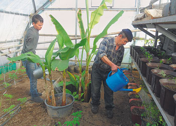 Even palm trees could be found at the Zher Syiy plant nursery in South Kazakhstan. 1364492379