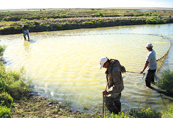 The Aral Sea Fund works to improve current situation of the Aral ecosystem, restore livelihoods. 1365702197